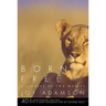 Born Free: A Lioness of Two Worlds