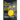 The Yellow Agent from Hong Kong