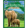 Elephants Activity Workbook for Kids ages 4-8!