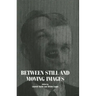 Between Still and Moving Images