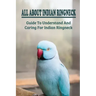 All About Indian Ringneck: Guide To Understand And Caring For Indian Ringneck: Fun Facts About Indian Ringneck
