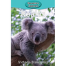 Koalas