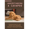 Understanding A Cavapoo: Complete Guide For New Owners, From Adopting, Buying To Raising & Training: Cavapoo Food And Nutrition