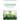 Cannabis: The Beginners Guide on How to Start Growing Marijuana Plants at Home