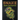 Snake Adults Coloring Books: Reptiles And Amphibians Coloring Book A Unique Collection Of Coloring Pages