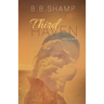 Third Haven: A Novel of Deceit
