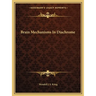 Brain Mechanisms In Diachrome