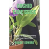 Orchid Care Guide: Everything You Need To Know About Orchid. How To Water, Fertilize And Take Proper Care Of Them.
