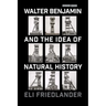 Walter Benjamin and the Idea of Natural History