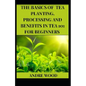 The Basics Of Tea Planting, Processing And Benefit In Tea 101 For Beginners