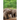 Wellness for Elephants: Proceedings of the Jacksonville Workshop