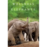 Wellness for Elephants: Proceedings of the Jacksonville Workshop