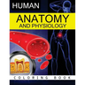 Anatomy & Physiology Coloring Book