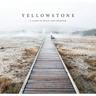 Yellowstone: A Land of Wild and Wonder