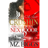 Crushin' On The Boss Next Door 2: An Urban Romance