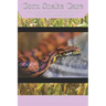 Corn Snake Care: The Complete Guide to Caring for and Keeping Corn Snakes as Pets