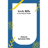 Little Rifle; or, The Young Fur Hunters