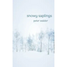 Snowy Saplings