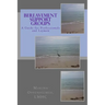 Bereavement Support Groups: A Guide for Clinicians and Non Clinicians