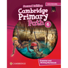 Cambridge Primary Path Level 6 Grammar and Writing Workbook