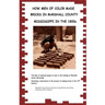 How Men Of Color Made Bricks In Marshall County Mississippi in the 1800s