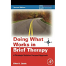 Doing What Works in Brief Therapy: A Strategic Solution Focused Approach