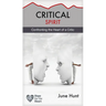 Critical Spirit: Confronting the Heart of a Critic