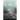 Springtime of the Song