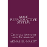 Male Reproductive System: Clinical Anatomy and Physiology