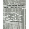 Electricity, Magnetism, Gravity & The Big Bang