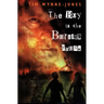 The Boy in the Burning House