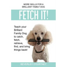 Fetch It!: Teach your Brilliant Family Dog to catch then fetch, retrieve, find, and bring things back