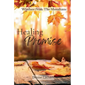 Healing Promise: The Monahans Book 1