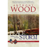 Peace Before the Second Storm: A Story of the Civil War