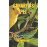 Canary as Pet: Everything You Need To Know About Canary Bird. How To Care For Them And How They Make Amazing Pet