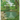 Saving Bull Creek