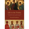 Life in the Trinity: An Introduction to Theology with the Help of the Church Fathers
