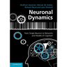 Neuronal Dynamics