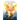 Unleashing Fire