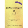 Consciousness Is All: The Magnificent Truth of What You Are