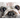 Woof! the Truth about Dogs