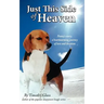Just This Side of Heaven