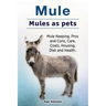 Mule. Mules as pets. Mule Keeping, Pros and Cons, Care, Costs, Housing, Diet and Health.