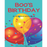 Boo's Birthday: A LIttle Illustrators Book