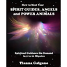 How To Meet Your SPIRIT GUIDES, ANGELS and POWER ANIMALS: Spiritual Guidance On Demand in 5 to 10 Minutes, a Practical Guide