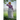A Shadowed Charade