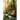 Melodies of the Heart