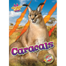 Caracals