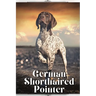 German Shorthaired Pointer: Dog breed overview and guide