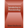 Introduction to Phenomenology